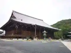 知恩院の本殿