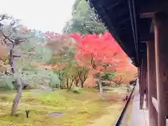 東福禅寺（東福寺）(京都府)