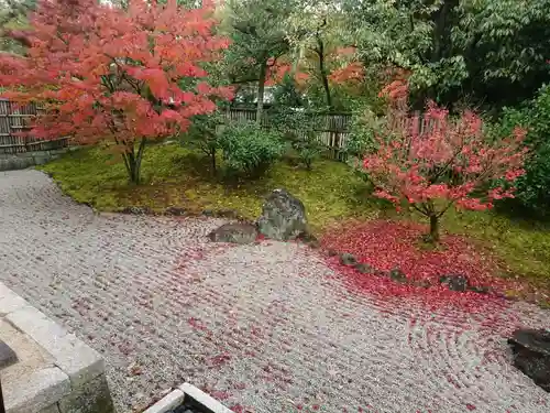 相国寺（相国承天禅寺）の庭園