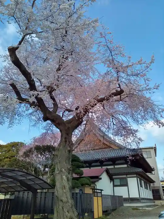 道仁寺(宮城県)