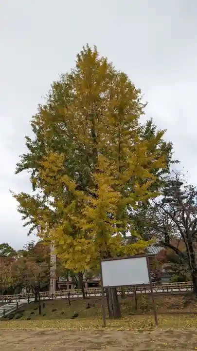智積院(京都府)