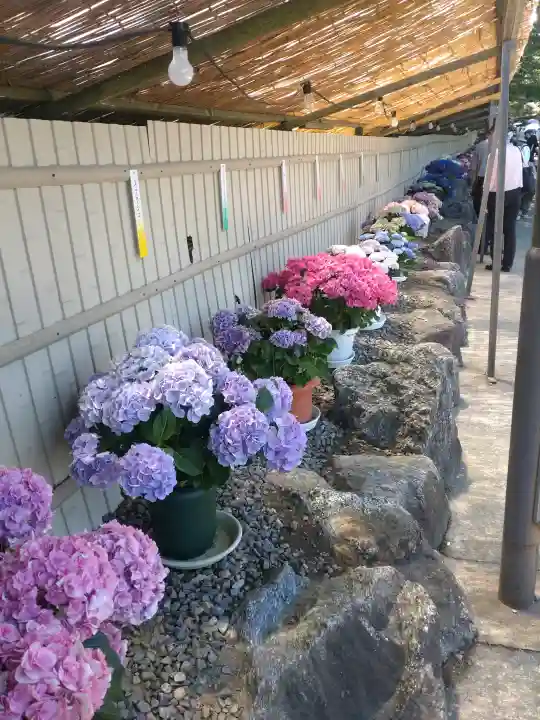 補陀寺(愛知県)