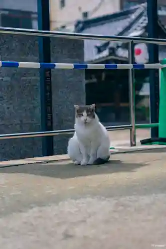 敷津松之宮　大国主神社(大阪府)