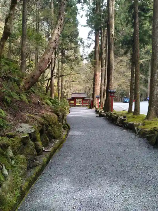 貴船神社(京都府)
