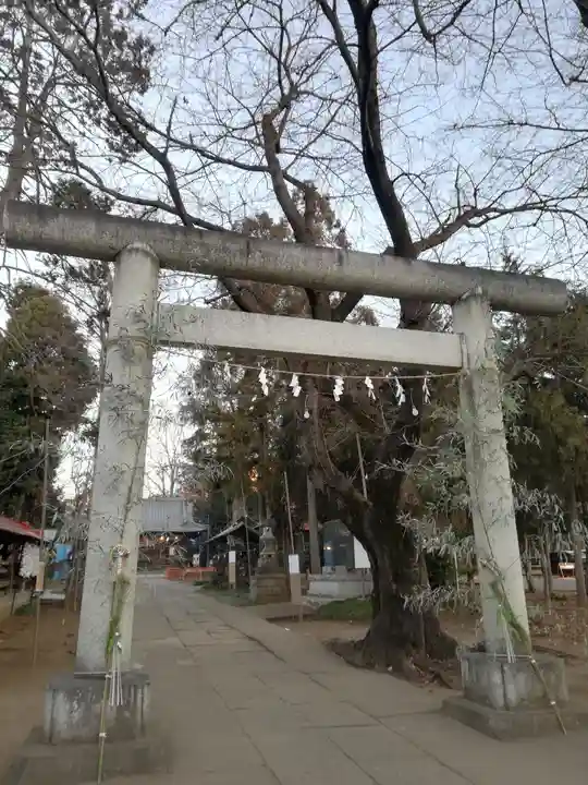 大井氷川神社の鳥居