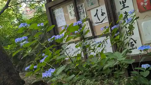 正法寺(京都府)