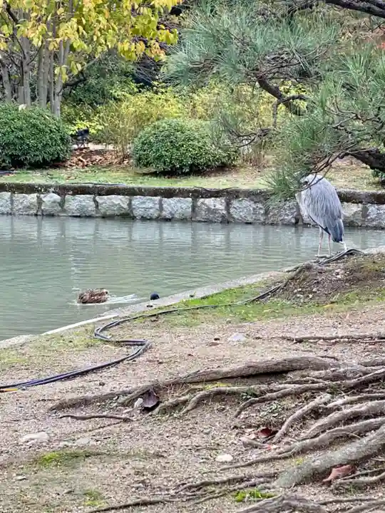 東寺(教王護国寺)(京都府)
