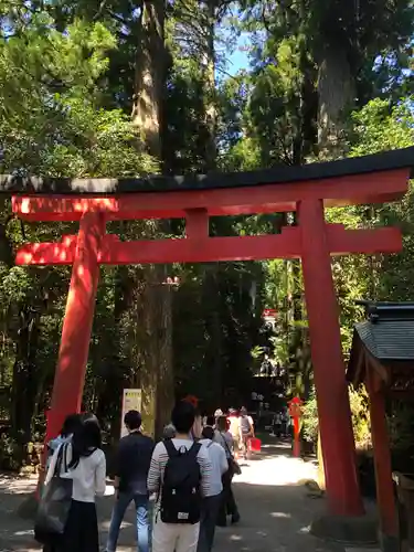 箱根神社の鳥居