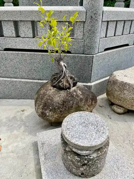 法蓮寺(東京都)