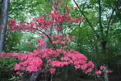 金剛山瑞峰寺 奥之院の周辺