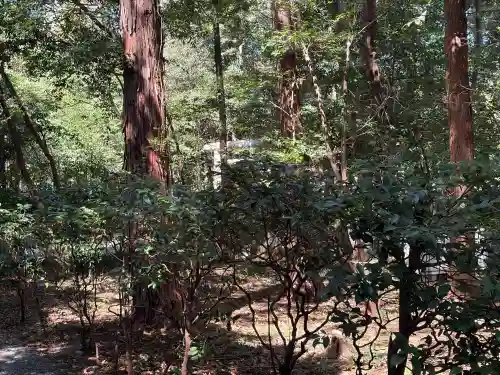 井伊谷宮の{uncategorized: "未分類", other: "その他", undefined: "問題あり", building: "その他建物", grave: "お墓", sacred_gate: "鳥居", guardian: "狛犬", statue: "像", buddha: "仏像", history: "歴史", nature: "自然", garden: "庭園", animal: "動物", pagoda: "塔", temizu: "手水舎", mountain_gate: "山門・神門", sanctuary: "本殿・本堂", subordinate: "末社・摂社", art: "芸術", scenery: "景色", jizo: "地蔵", ema: "絵馬", goshuin: "御朱印", omikuji: "おみくじ", items: "授与品その他", amulet: "お守り", goshuincho: "御朱印帳", eats: "食事", festival: "お祭り", votive_dance: "神楽", shichigosan: "七五三参", wedding: "結婚式", experience: "体験その他", initially: "初詣", around: "周辺", anti_infection: "感染症対策"}