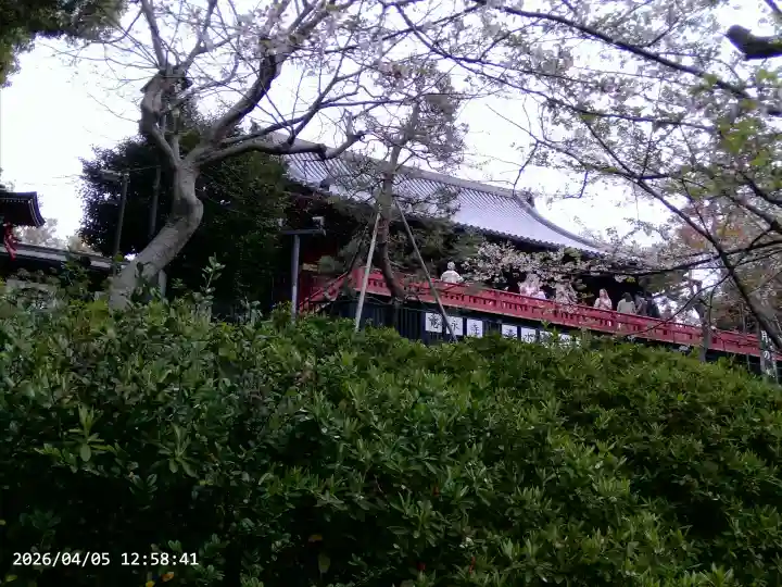 清水観音堂の{uncategorized: "未分類", other: "その他", undefined: "問題あり", building: "その他建物", grave: "お墓", sacred_gate: "鳥居", guardian: "狛犬", statue: "像", buddha: "仏像", history: "歴史", nature: "自然", garden: "庭園", animal: "動物", pagoda: "塔", temizu: "手水舎", mountain_gate: "山門・神門", sanctuary: "本殿・本堂", subordinate: "末社・摂社", art: "芸術", scenery: "景色", jizo: "地蔵", ema: "絵馬", goshuin: "御朱印", omikuji: "おみくじ", items: "授与品その他", amulet: "お守り", goshuincho: "御朱印帳", eats: "食事", festival: "お祭り", votive_dance: "神楽", shichigosan: "七五三参", wedding: "結婚式", experience: "体験その他", initially: "初詣", around: "周辺", anti_infection: "感染症対策"}