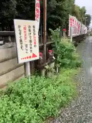 祇園山 徳城寺の建物その他