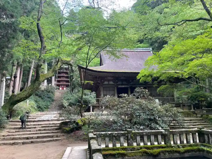 室生寺の本殿・本堂