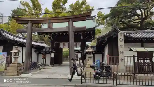 白峯神宮の鳥居