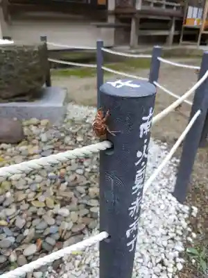 熊野神社(岩手県)