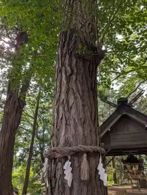 鏑八幡神社(岩手県)