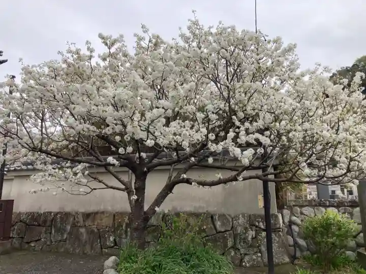 光明寺(神奈川県)