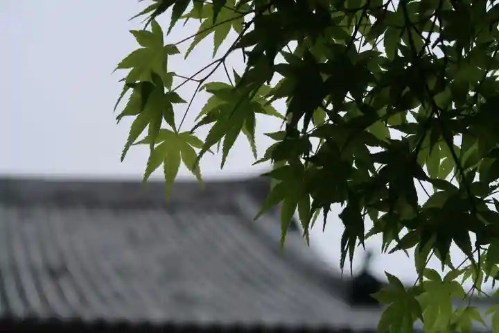 神護寺のその他建物