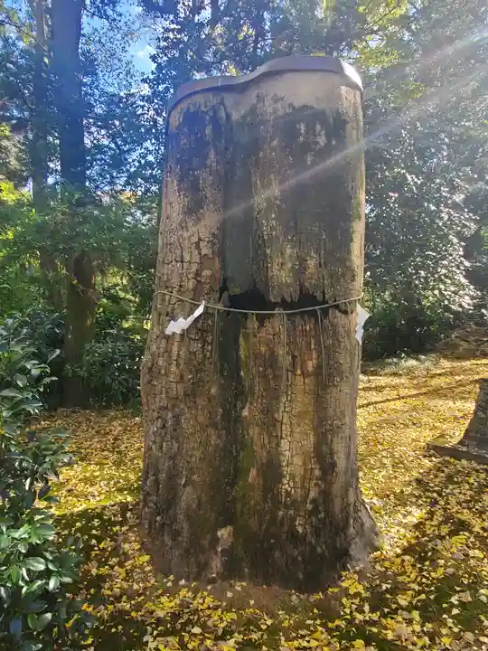 子安神社のその他建物