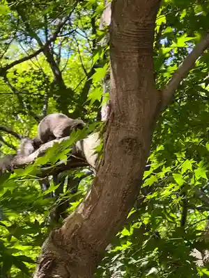浄智寺(神奈川県)
