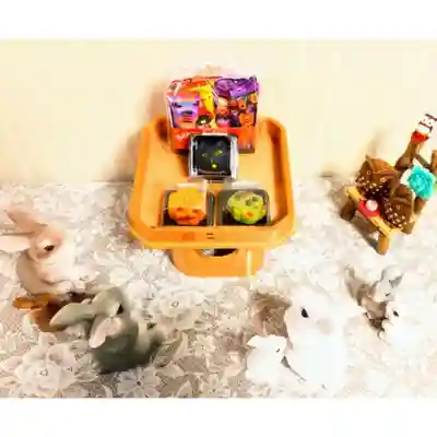 彌彦神社　(伊夜日子神社)の像