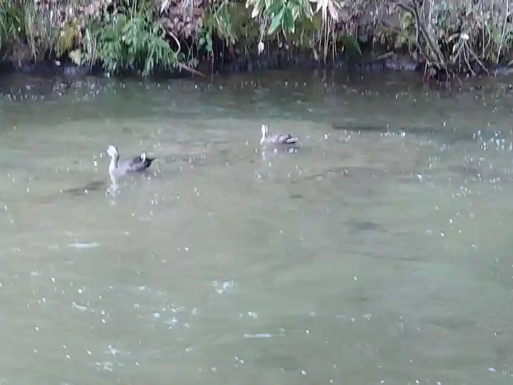 戸ノ口堰水神社(福島県)