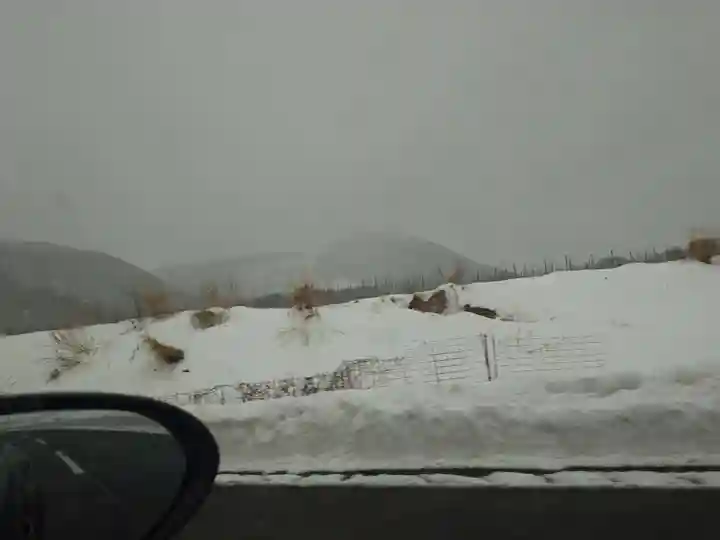 須佐神社(島根県)