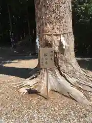 滑川神社 - 仕事と子どもの守り神の自然