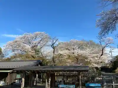 本土寺(千葉県)