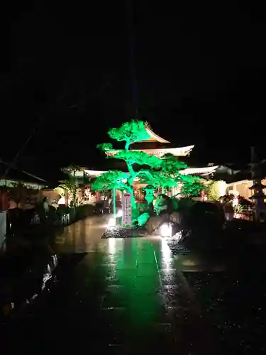 目の霊山　油山寺(静岡県)