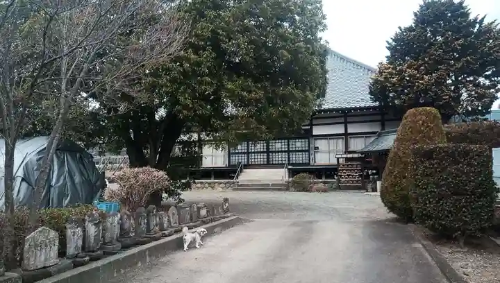 善徳院の本殿・本堂