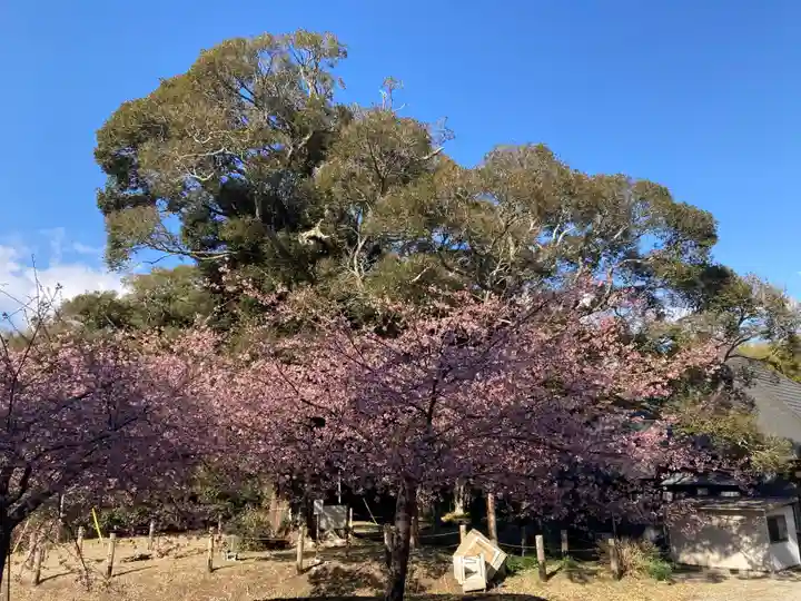 寂光寺(千葉県)