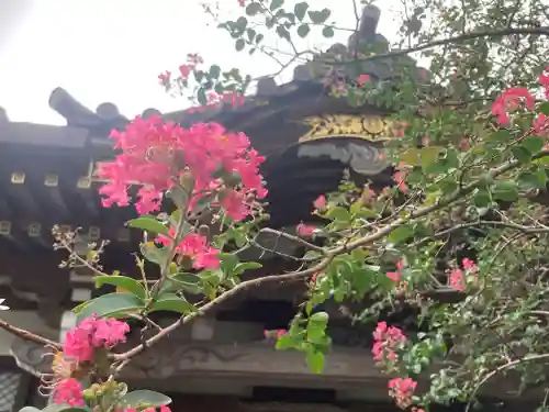 妙隆寺(神奈川県)