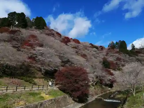川見薬師寺の周辺