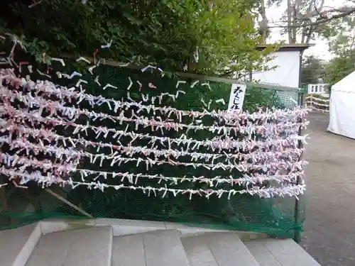 寒川神社のおみくじ