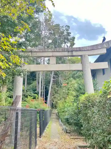 隨心院（随心院）の鳥居