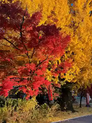 桃太郎神社（栗栖）の自然