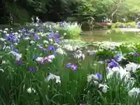 平安神宮の庭園