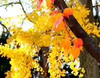 三津厳島神社の景色