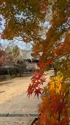 光明寺（粟生光明寺）(京都府)