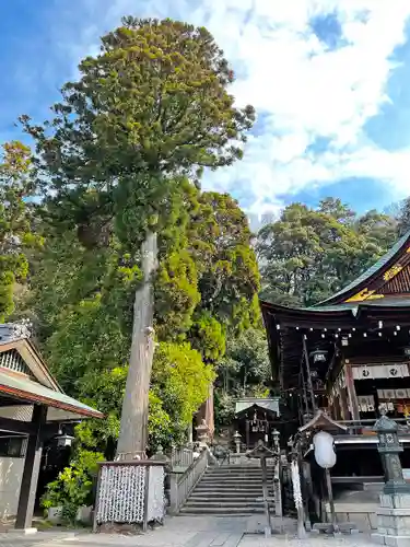 日牟禮八幡宮(滋賀県)