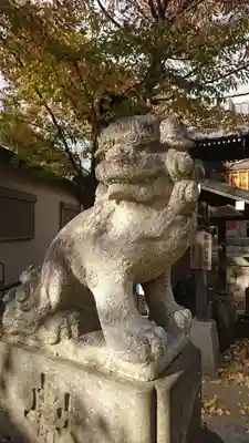日枝神社の狛犬
