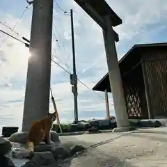 豊玉姫神社(香川県)