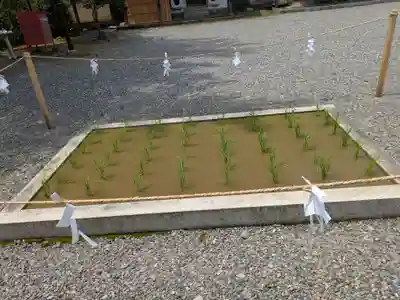 美濃國一宮　南宮大社(岐阜県)