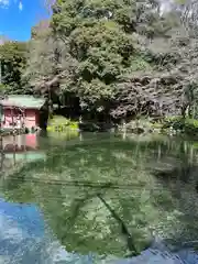 富士山本宮浅間大社(静岡県)