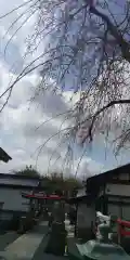 大鏑神社の自然