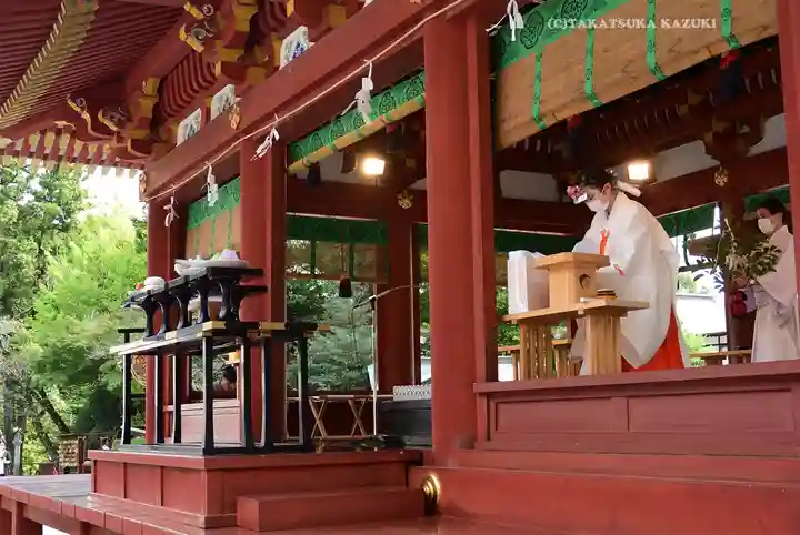 鶴岡八幡宮の神楽