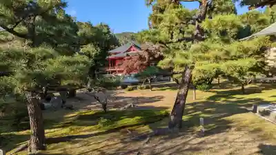 大覚寺(京都府)