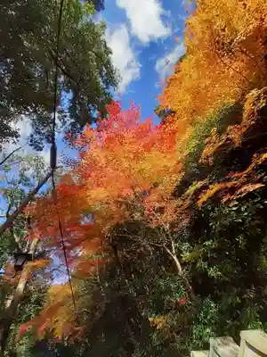 朝護孫子寺(奈良県)
